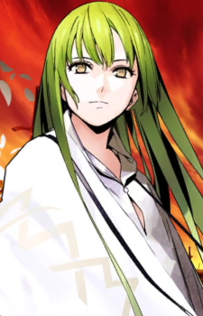 Enkidu — Fate Series card artwork