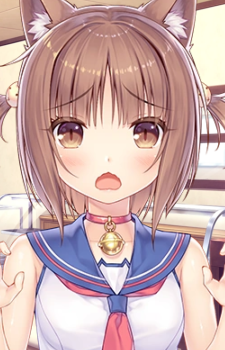 Azuki — Nekopara card artwork