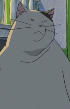 Muta — The Cat Returns card artwork