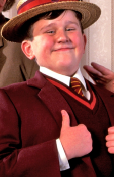 Dudley — Harry Potter card artwork