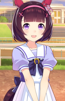 Nishino Flower — Umamusume: Pretty Derby artwork