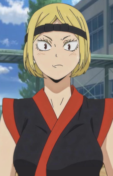 Saeko Tanaka — Haikyuu card artwork