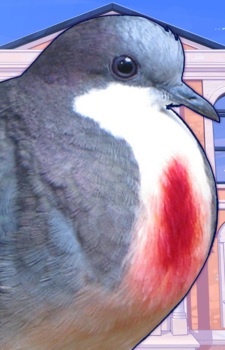 Anghel Higure — Hatoful Boyfriend artwork