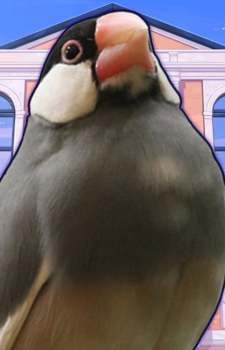 Azami Koshiba — Hatoful Boyfriend artwork