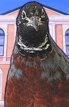 Hitori Uzune — Hatoful Boyfriend card artwork