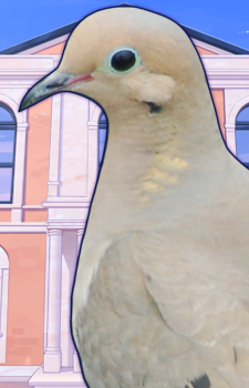 Nageki Fujishiro — Hatoful Boyfriend card artwork