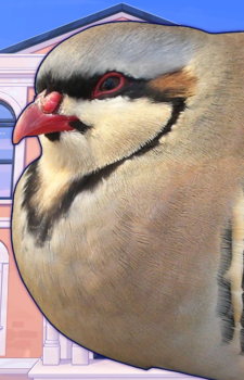 Shuu Iwamine — Hatoful Boyfriend artwork