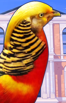 Tohri Nishikikouji — Hatoful Boyfriend card artwork