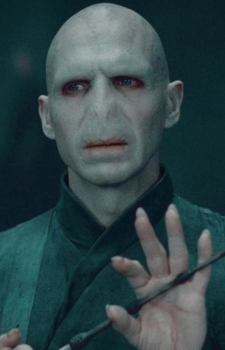 Voldemort — Harry Potter artwork
