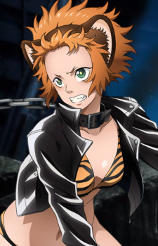 Tora — Juni Taisen card artwork