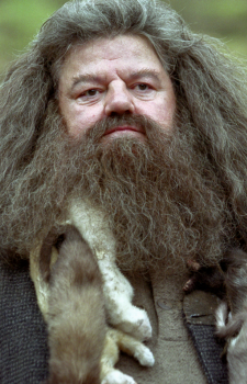 Hagrid — Harry Potter artwork