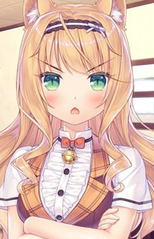 Maple — Nekopara card artwork