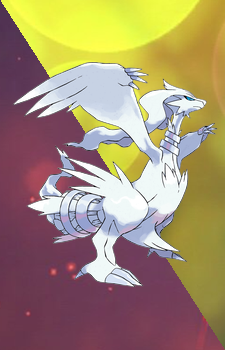 Reshiram — Pokemon card artwork