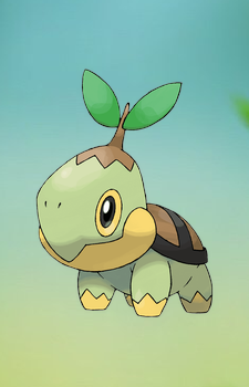 Turtwig — Pokemon card artwork