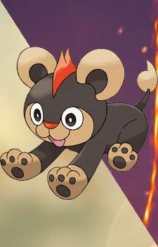 Litleo — Pokemon card artwork