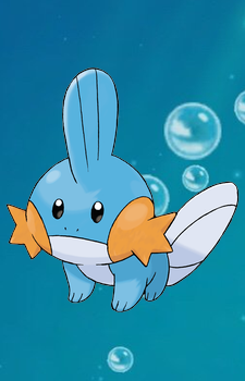 Mudkip — Pokemon card artwork