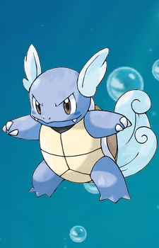 Wartortle — Pokemon card artwork