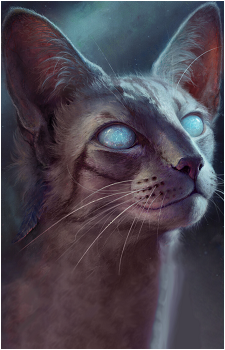 Jayfeather — Warriors card artwork