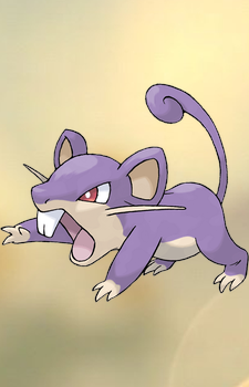 Rattata — Pokemon card artwork