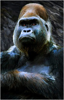 Harambe — Meme card artwork