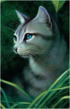 Ivypool — Warriors card artwork