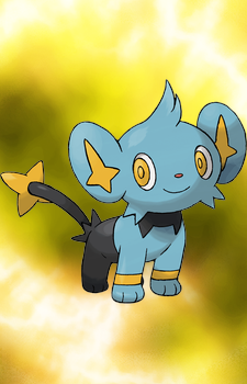 Shinx — Pokemon card artwork