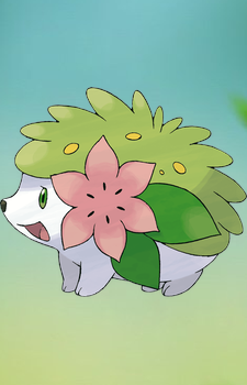 Shaymin — Pokemon card artwork