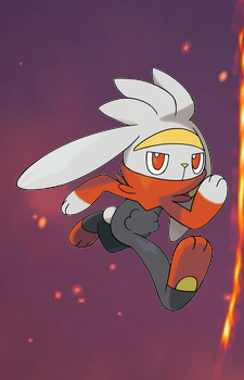 Raboot — Pokemon card artwork