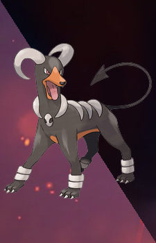 Houndoom — Pokemon card artwork