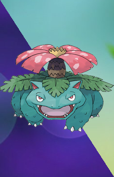 Venusaur — Pokemon card artwork
