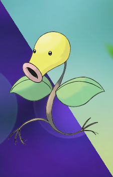 Bellsprout — Pokemon card artwork