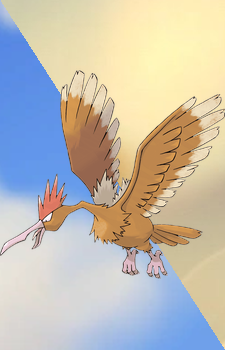 Fearow — Pokemon card artwork