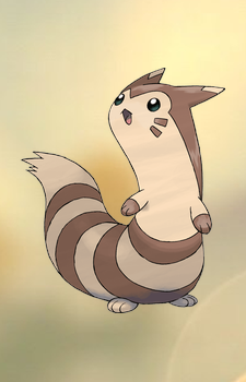 Furret — Pokemon card artwork