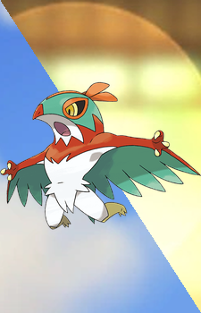 Hawlucha — Pokemon card artwork