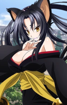 Kuroka — High School DxD artwork