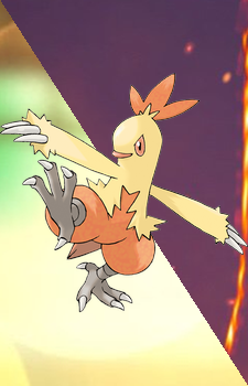 Combusken — Pokemon card artwork