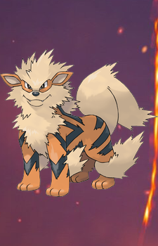 Arcanine — Pokemon card artwork