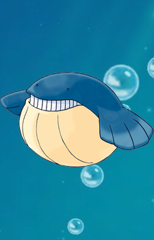 Wailmer — Pokemon card artwork