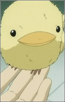 Hibird — Reborn! card artwork