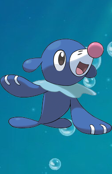 Popplio — Pokemon card artwork