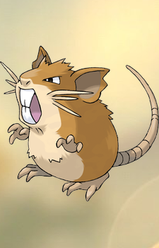 Raticate — Pokemon card artwork