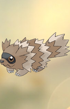 Zigzagoon — Pokemon card artwork