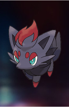 Zorua — Pokemon card artwork
