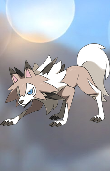 Lycanroc — Pokemon card artwork