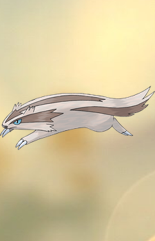 Linoone — Pokemon card artwork