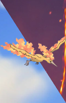 Moltres — Pokemon card artwork