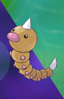 Weedle — Pokemon card artwork