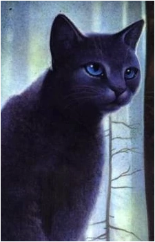 Bluestar — Warriors card artwork