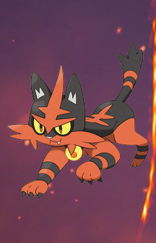 Torracat — Pokemon card artwork