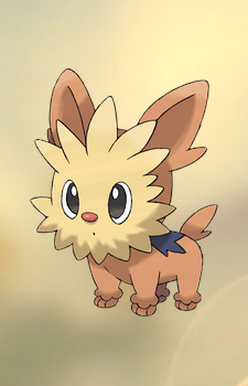 Lillipup — Pokemon card artwork